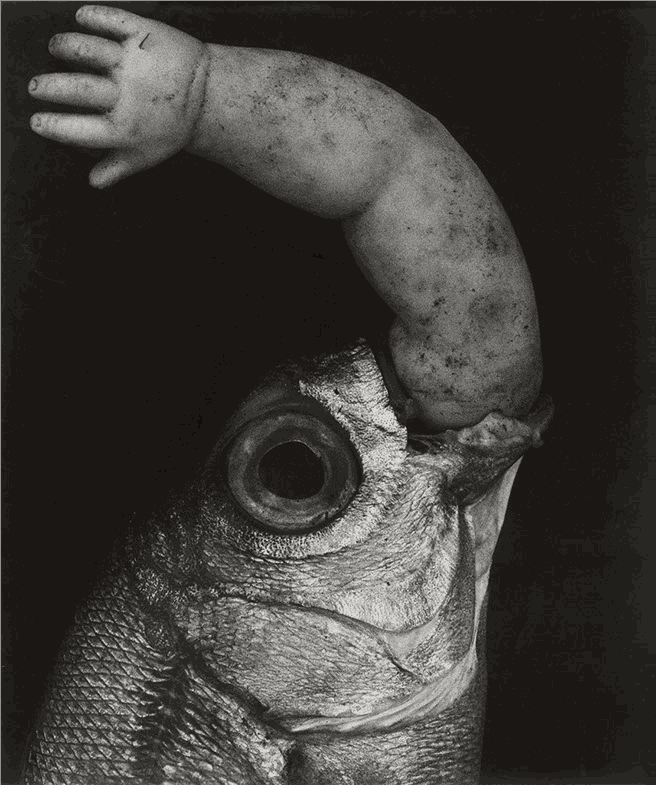 Konrad Rufus Müller, Fisch, 2010
