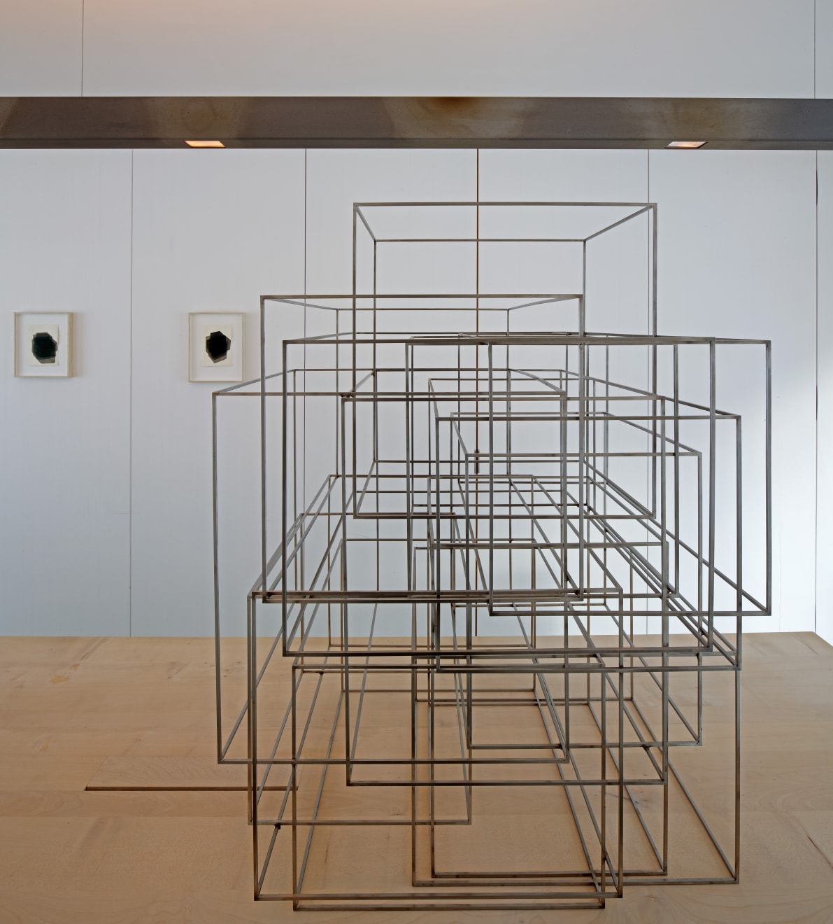 Antony Gormley, Net, 2011