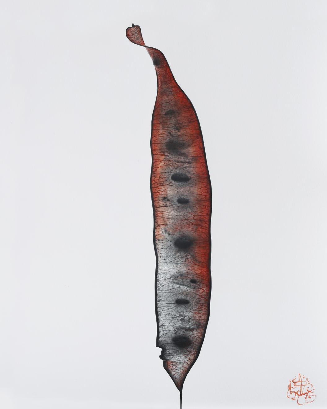 NAEEMEH NAEEMAEI , Arterioles #2, 2023