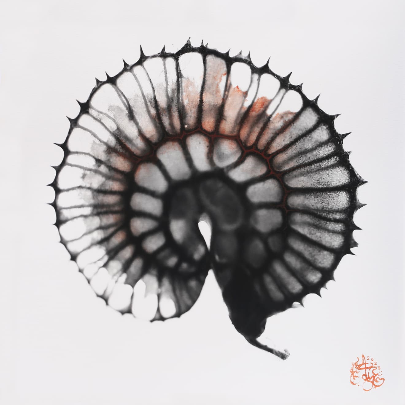 NAEEMEH NAEEMAEI , Arterioles #23, 2023