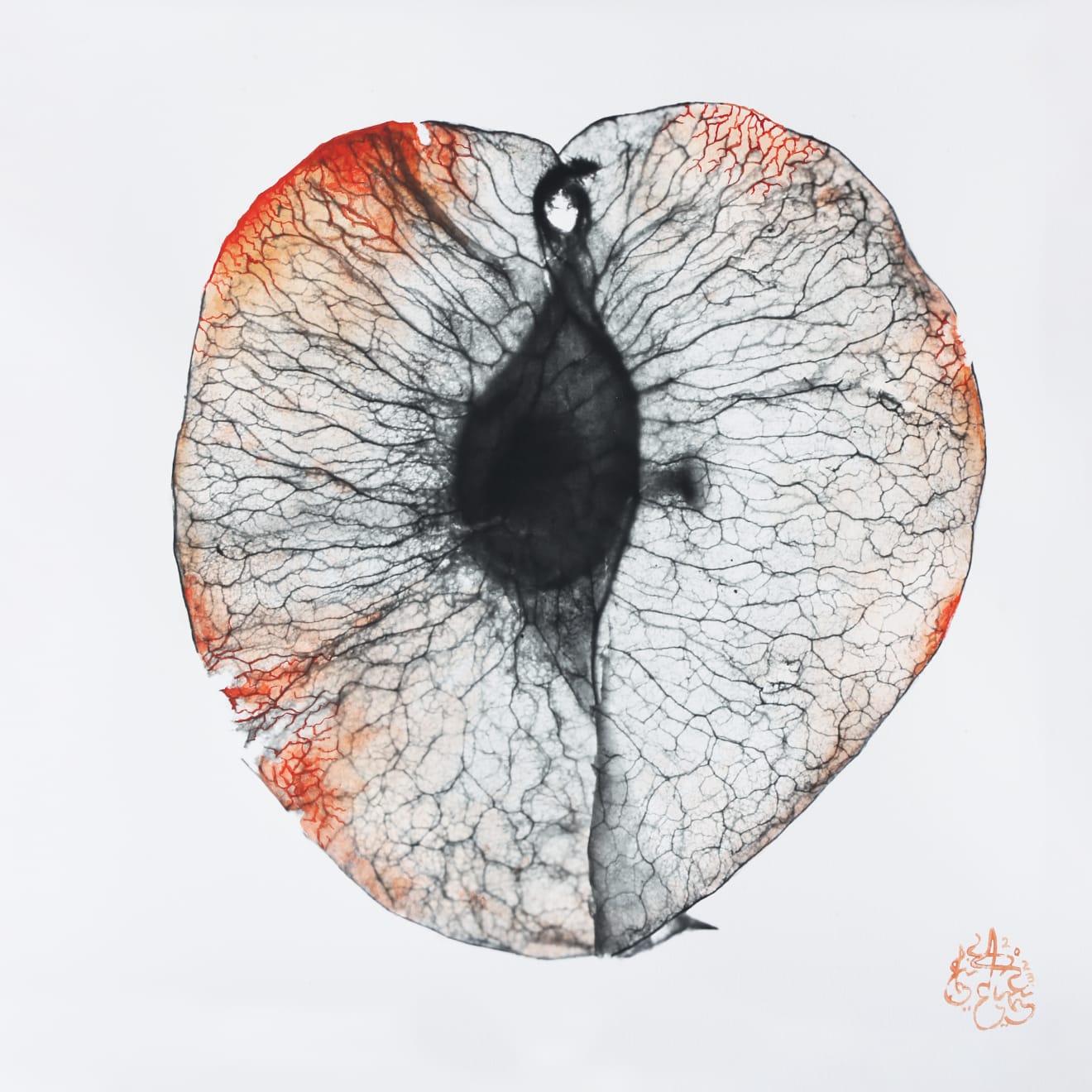 NAEEMEH NAEEMAEI , Arterioles #24, 2023