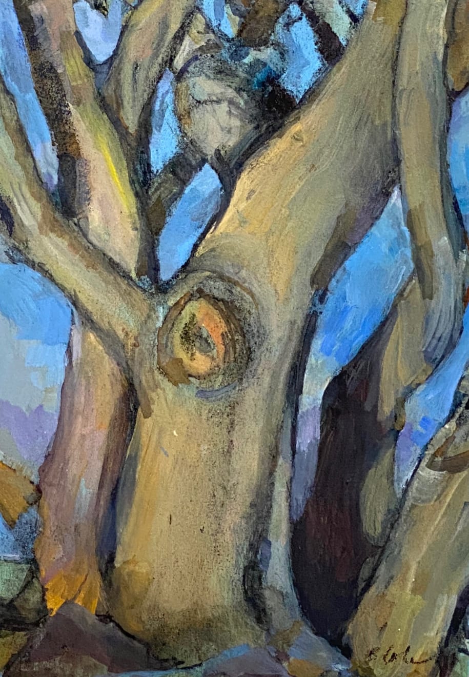 Bets Cole, Tree Twist - Dana Point