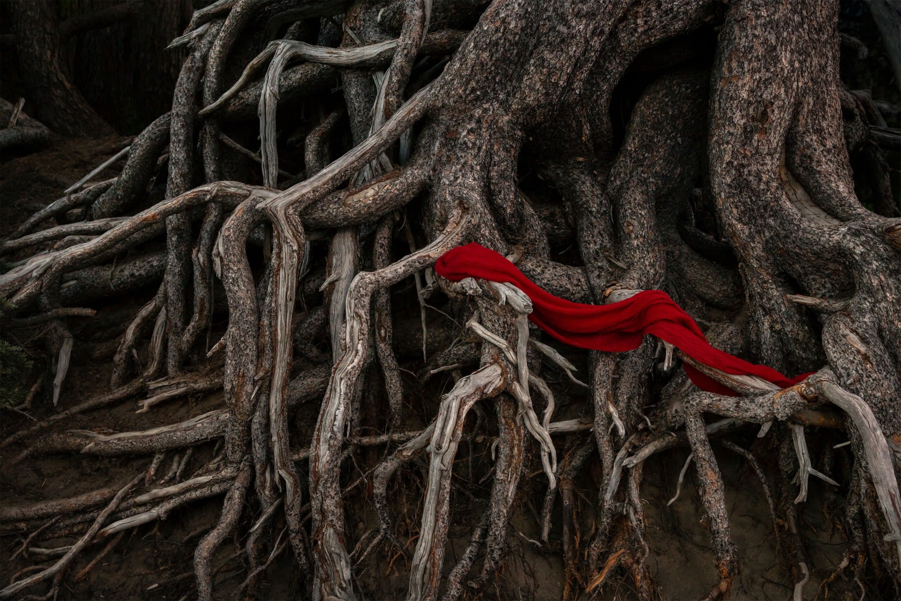 NAEEMEH NAEEMAEI, JAAN #4