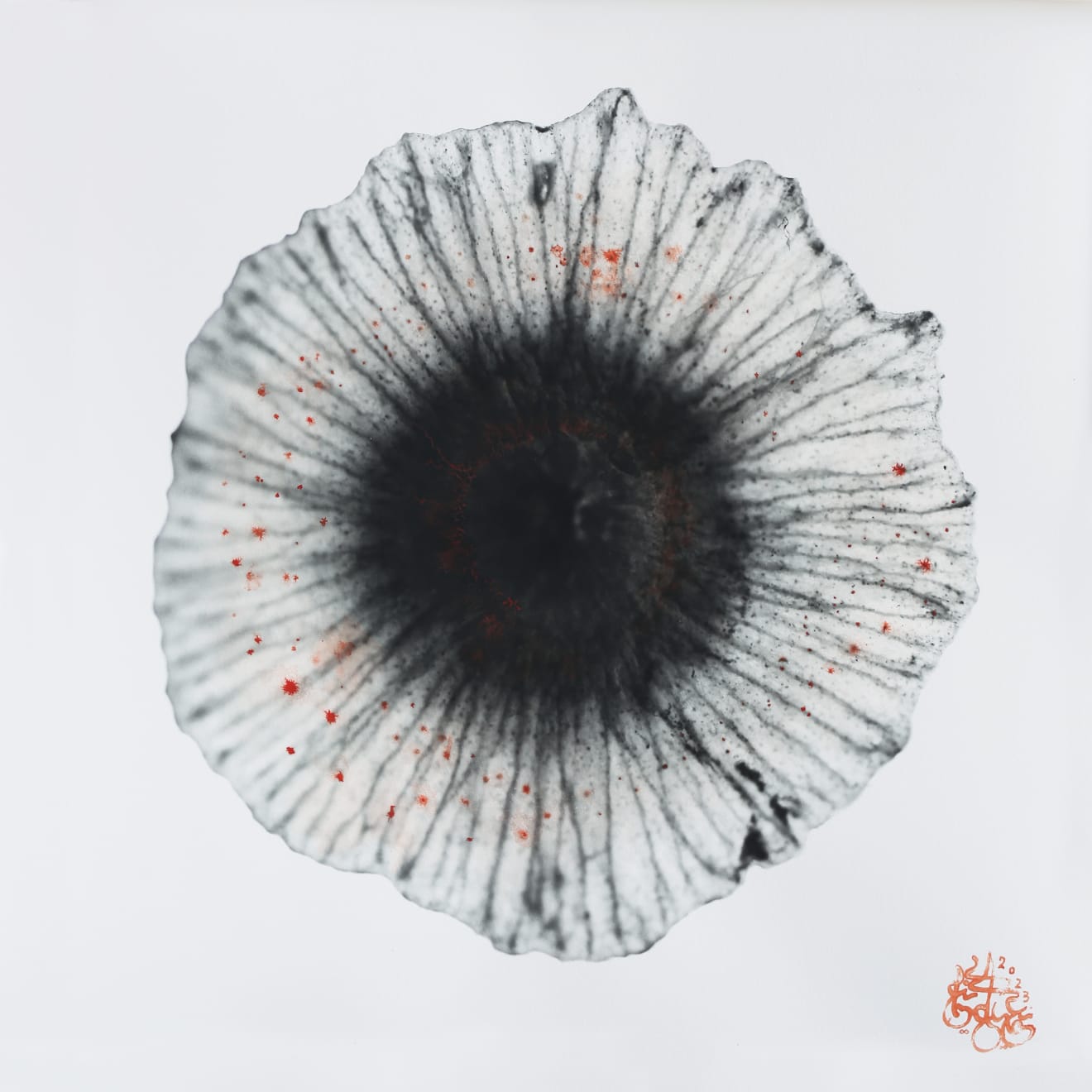 NAEEMEH NAEEMAEI , Arterioles #24, 2023