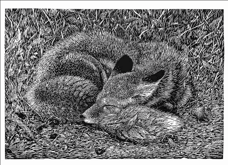 Marit Berg, Sleeping Fox, 2019