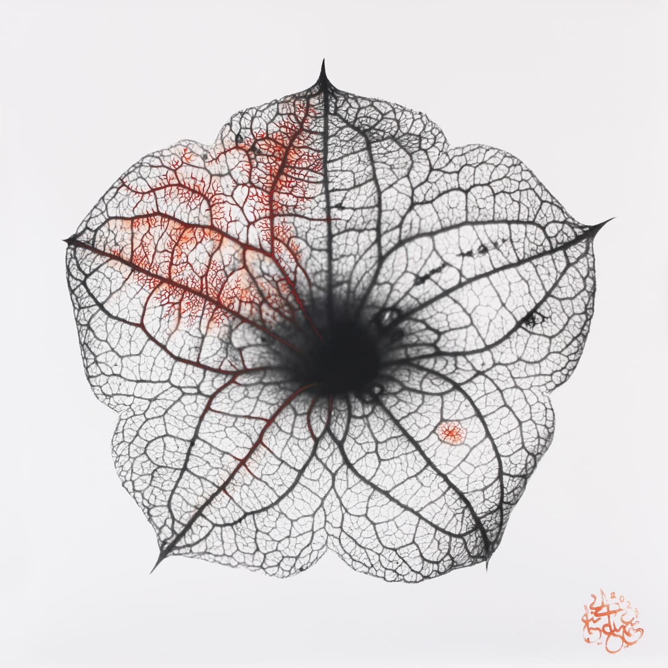 NAEEMEH NAEEMAEI , Arterioles #22, 2023