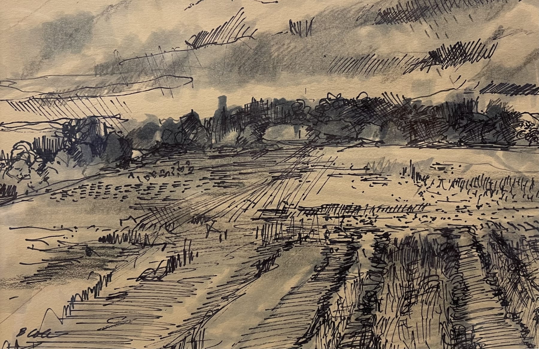 Bets Cole, Furrowed Fields