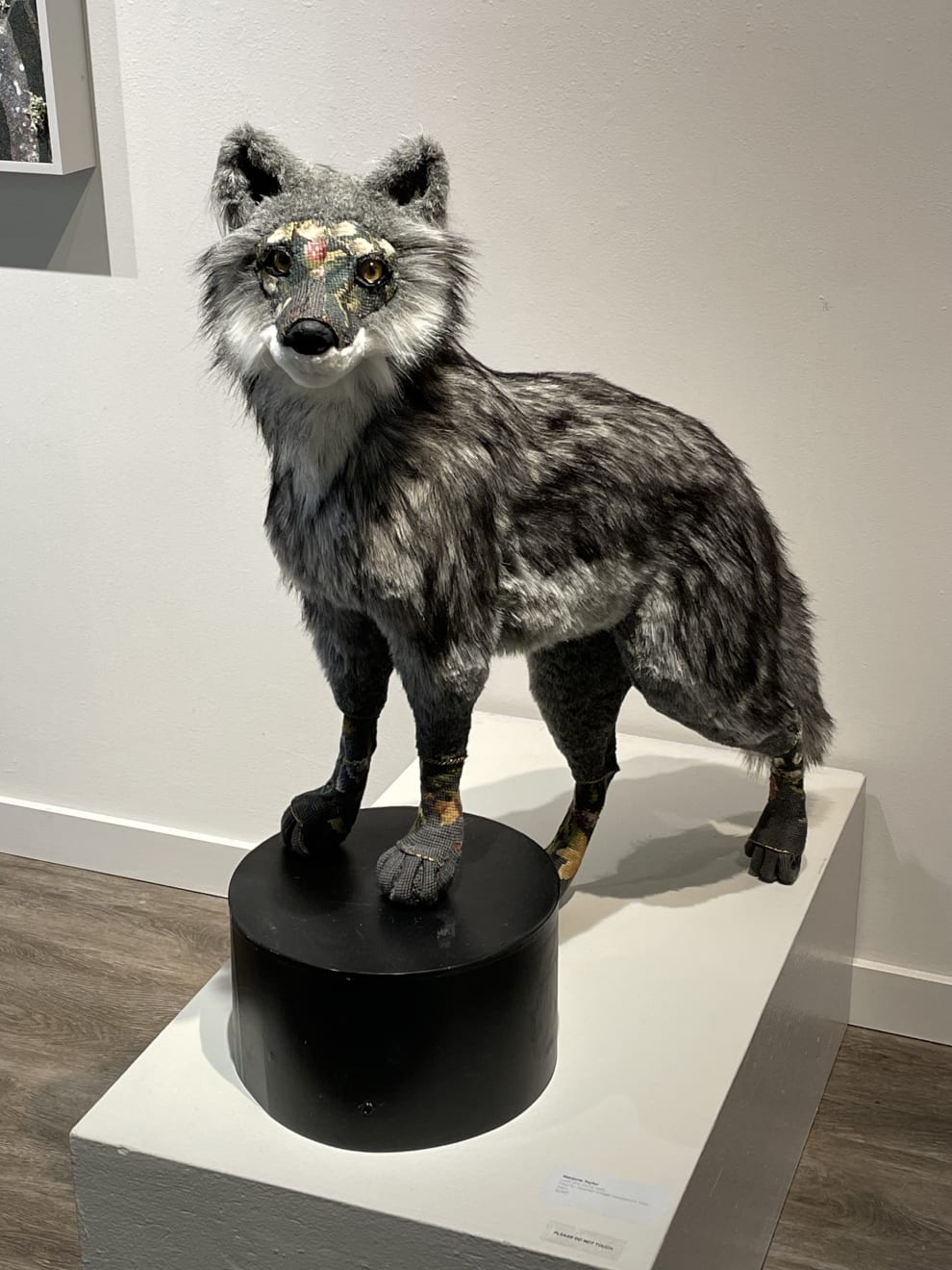 Marjorie Taylor, Luna (the young wolf)