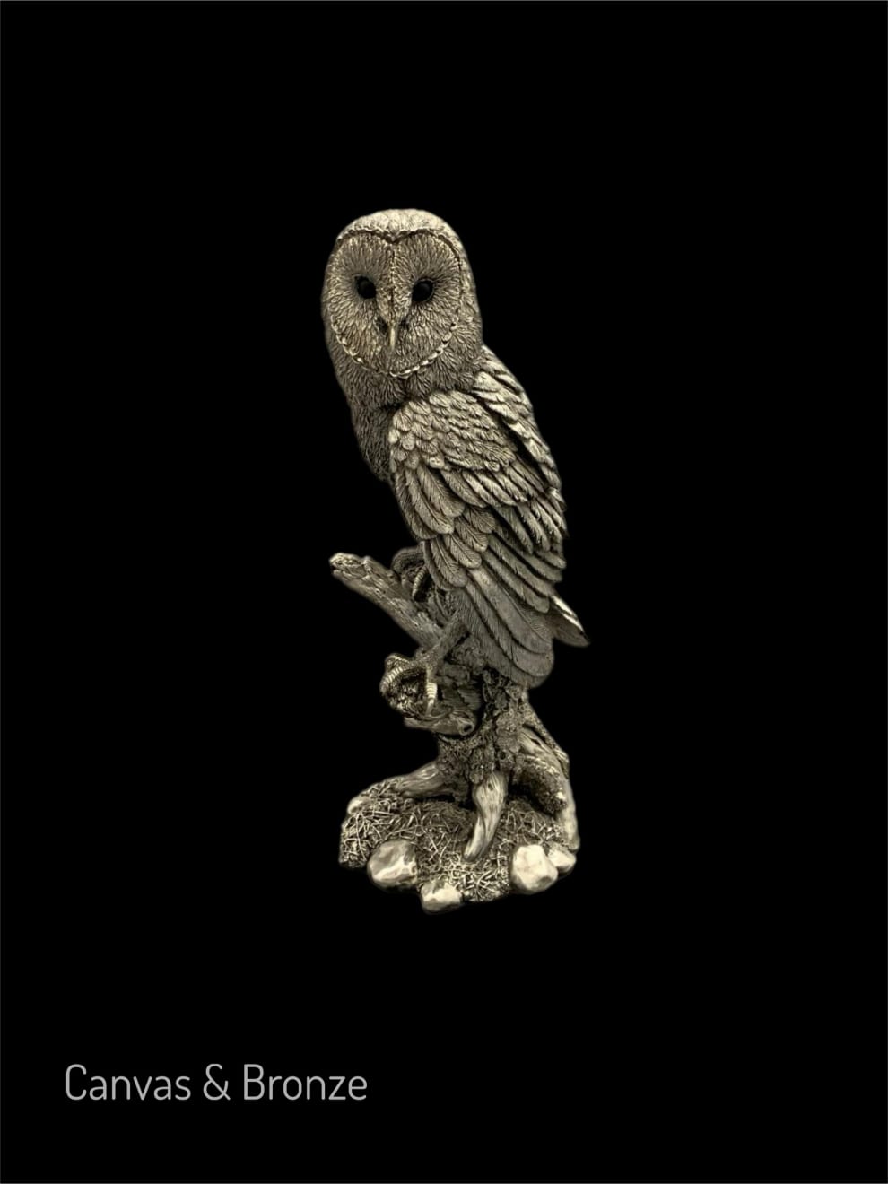 Anonymous, The Wise Silver Barn Owl, 1995