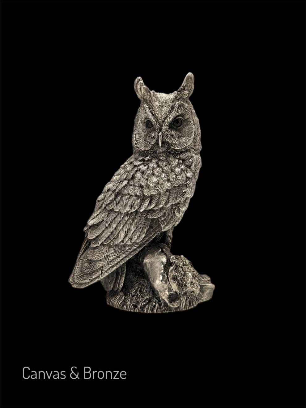 Anonymous, The Wise Silver Long Ears Owl - England, 1991