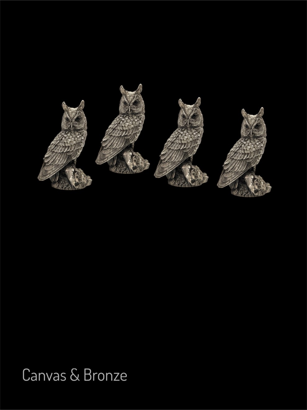 Anonymous, The Wise Silver Long Ears Owl - England, 1991