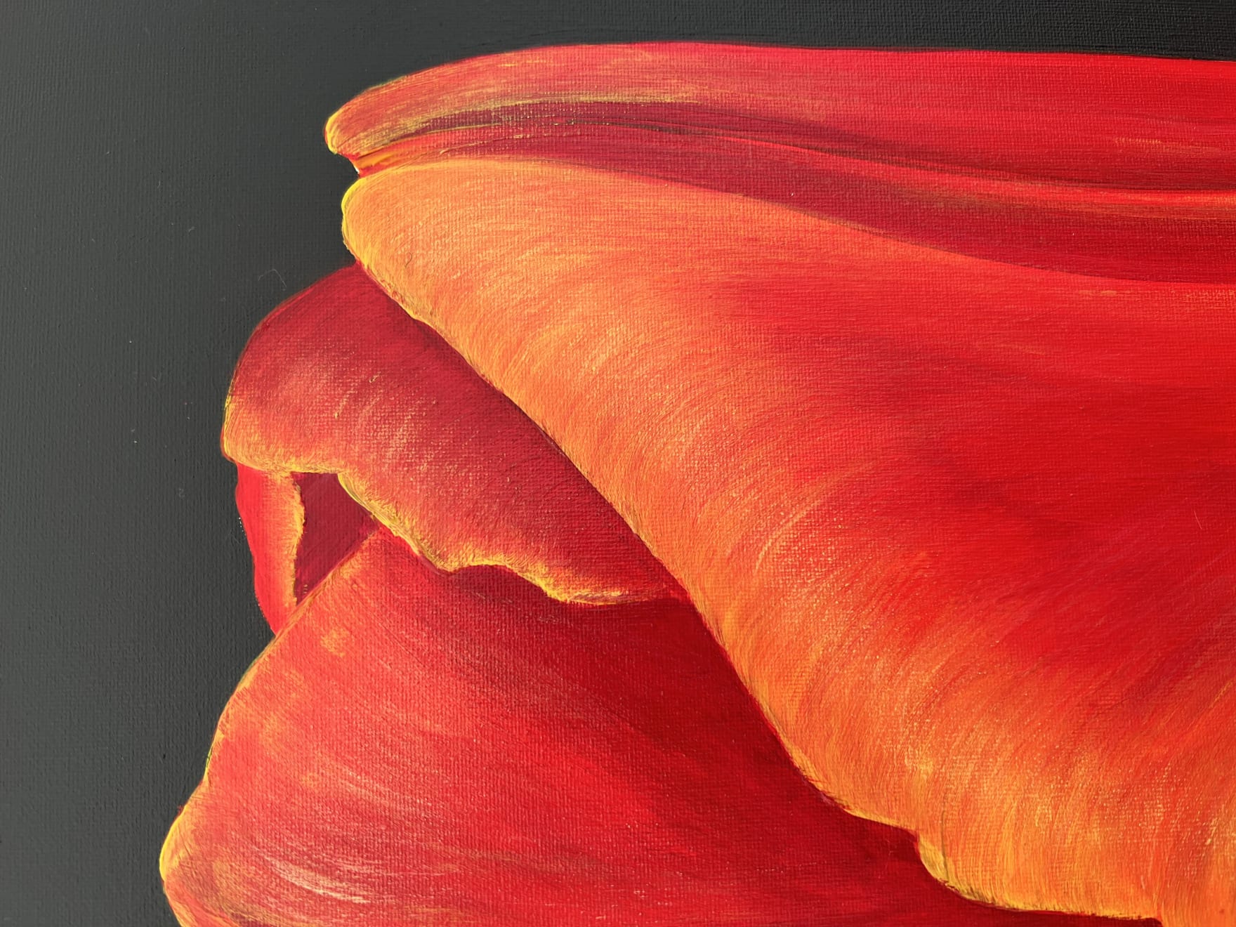 Beatrix Frederiks, de Tulp, 2018