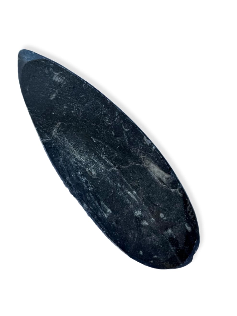 Anonymous, Fossil - Morocco Orthoceras - set of 4 pieces, 2025