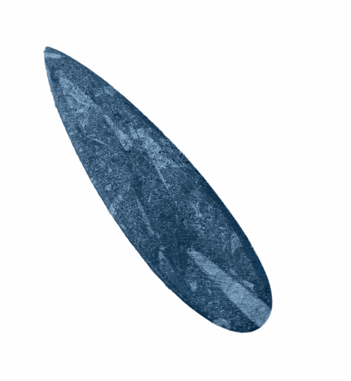 Anonymous, Fossil - Morocco Orthoceras - set of 4 pieces, 2025