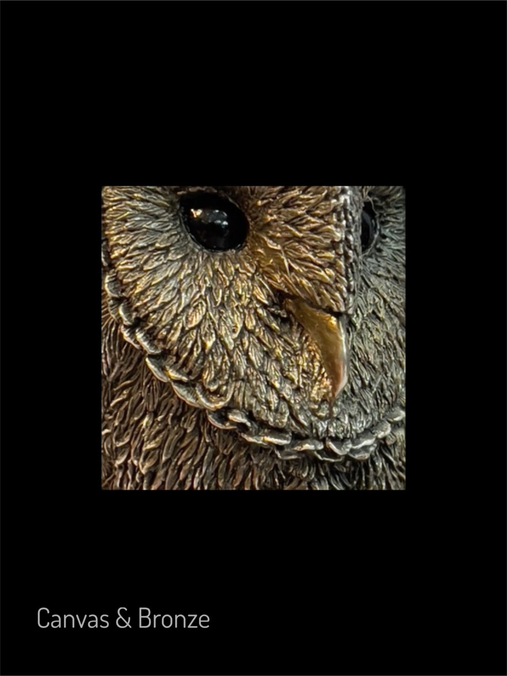 Anonymous, The Wise Silver Barn Owl, 1995