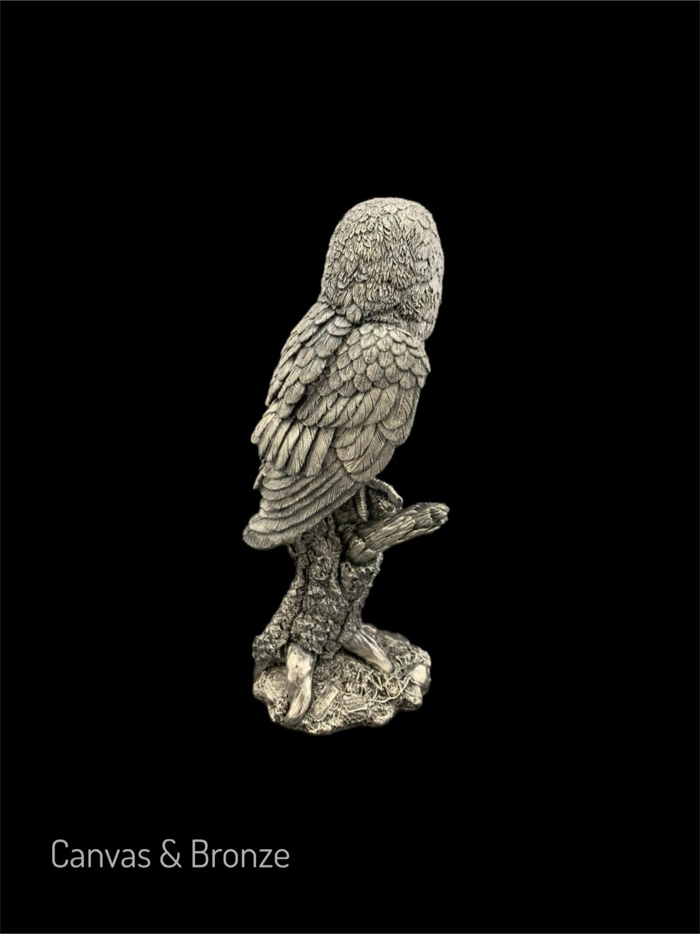 Anonymous, The Wise Silver Barn Owl, 1995
