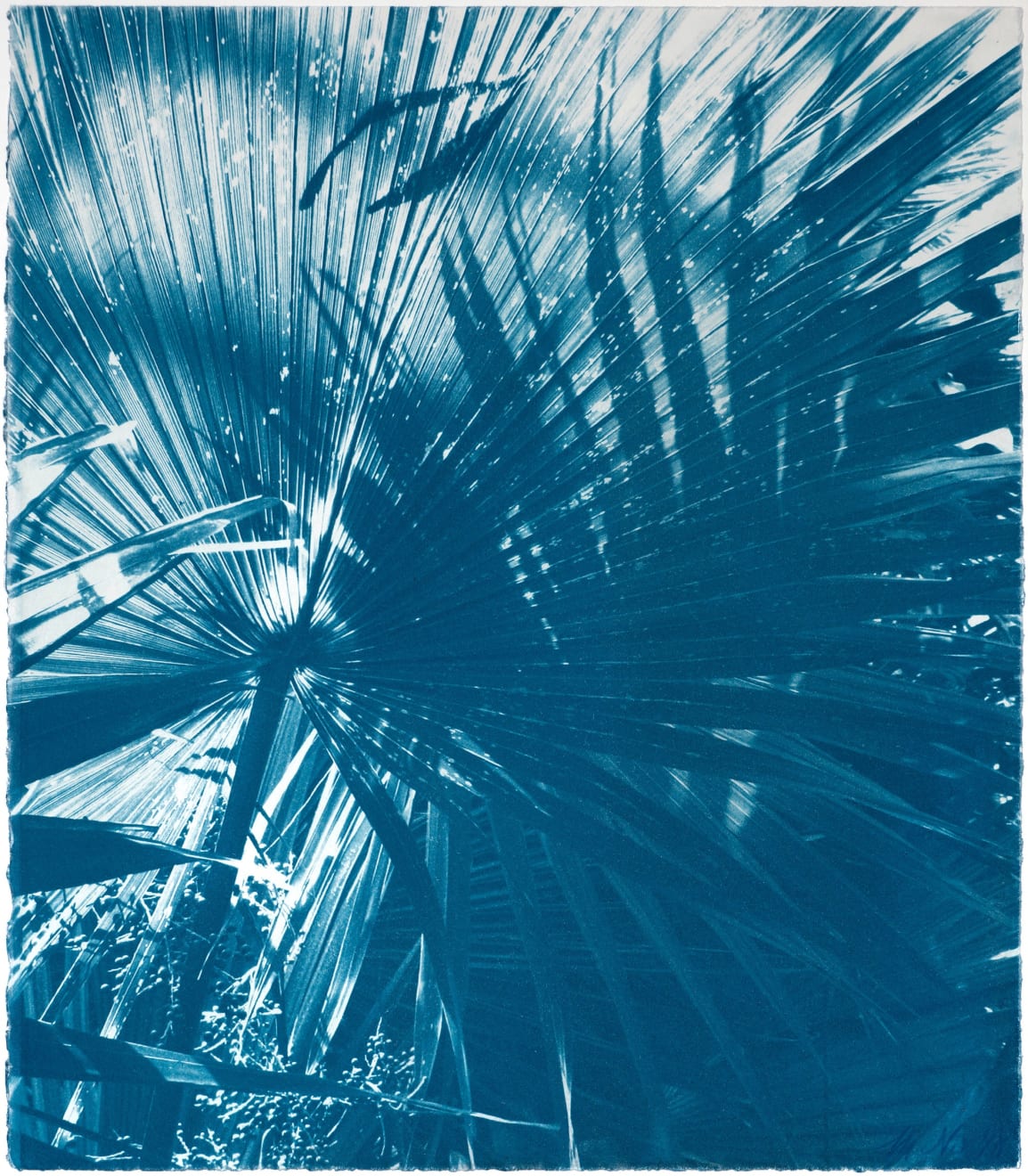 MARIANNE NIX, Glimmering shade, 2018