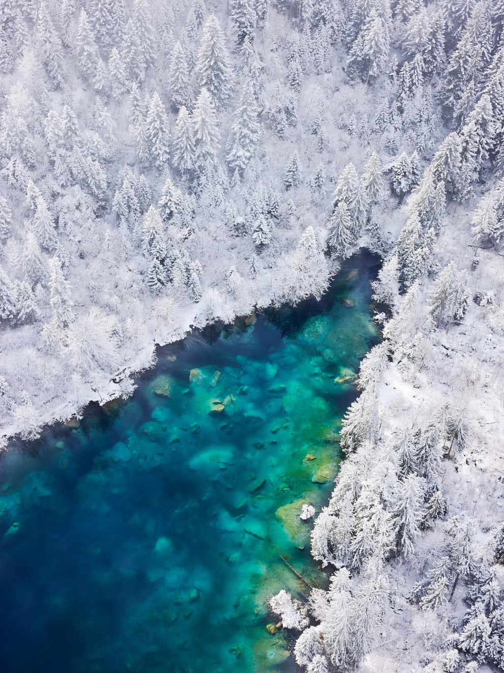 crestasee in verschneitem flimserwald