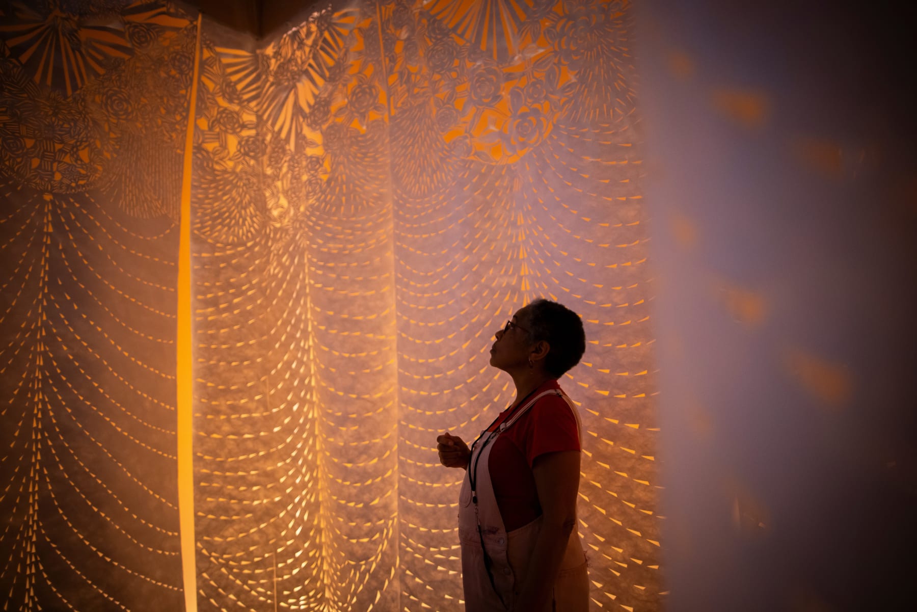 Barbara Earl Thomas, The Transformation Room, 2021-24