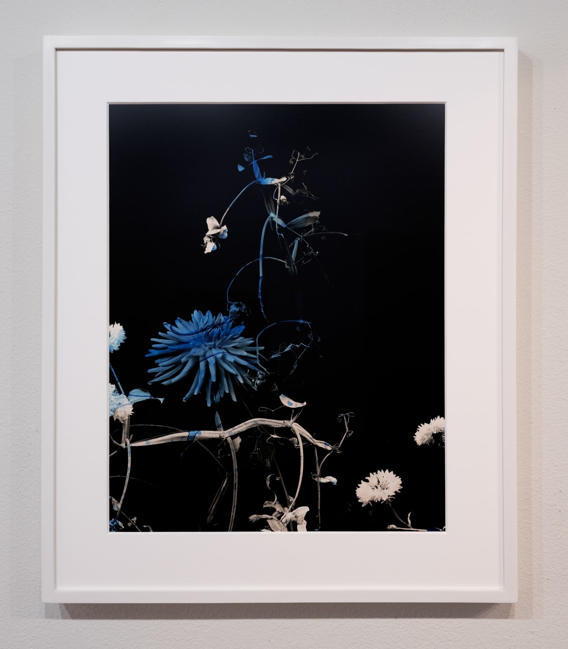 TASHA OSTRANDER, Night Bluem #29, 2022