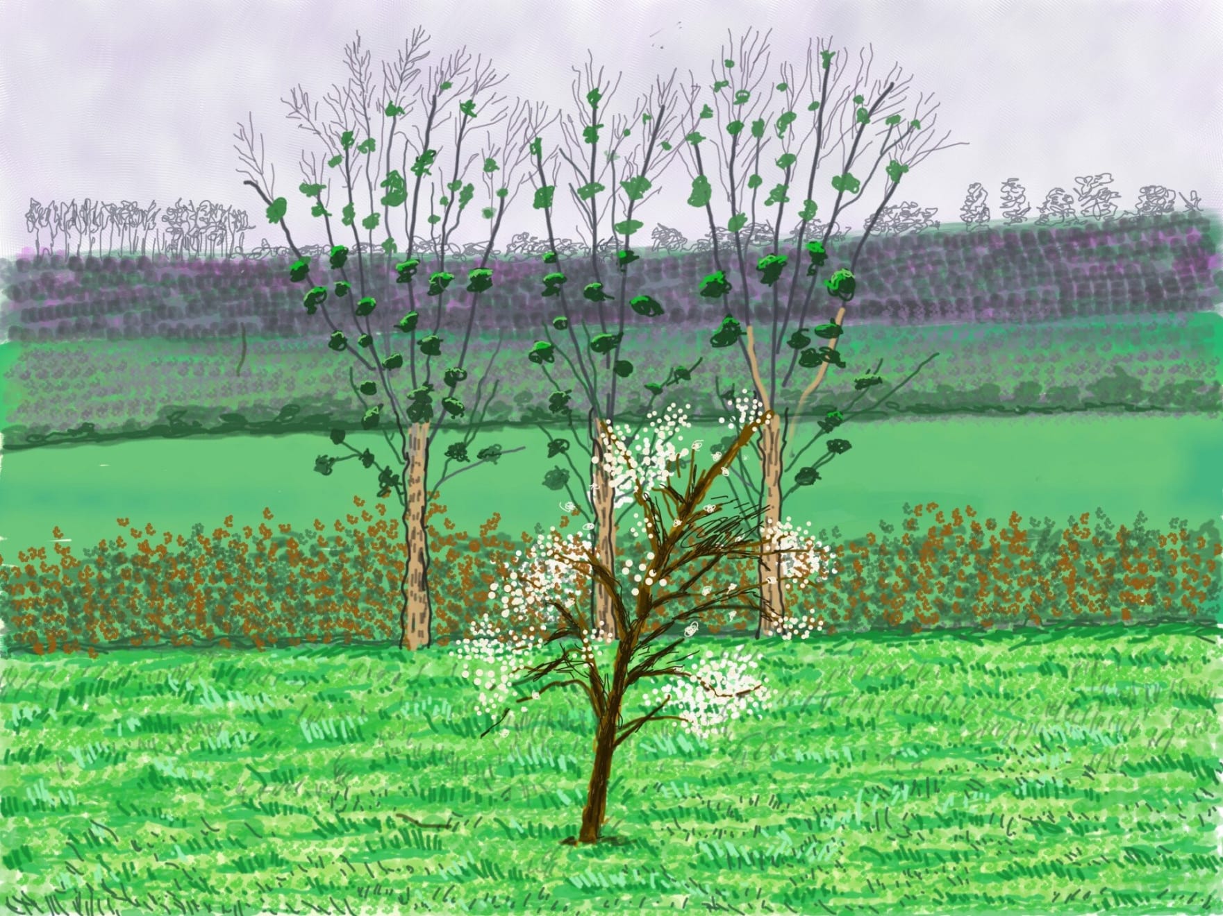David Hockney, Spring Awakening. Nature in Spring 2020. by Philip W T Vining is marked with Public Domain Mark 1.0. David Hockney created this picture (on his iPad), from the garden of his house in Normandy, France. He then sent it, along with eight others, to Will Gompertz (Arts Editor for BBC News) for everyone to see and enjoy.