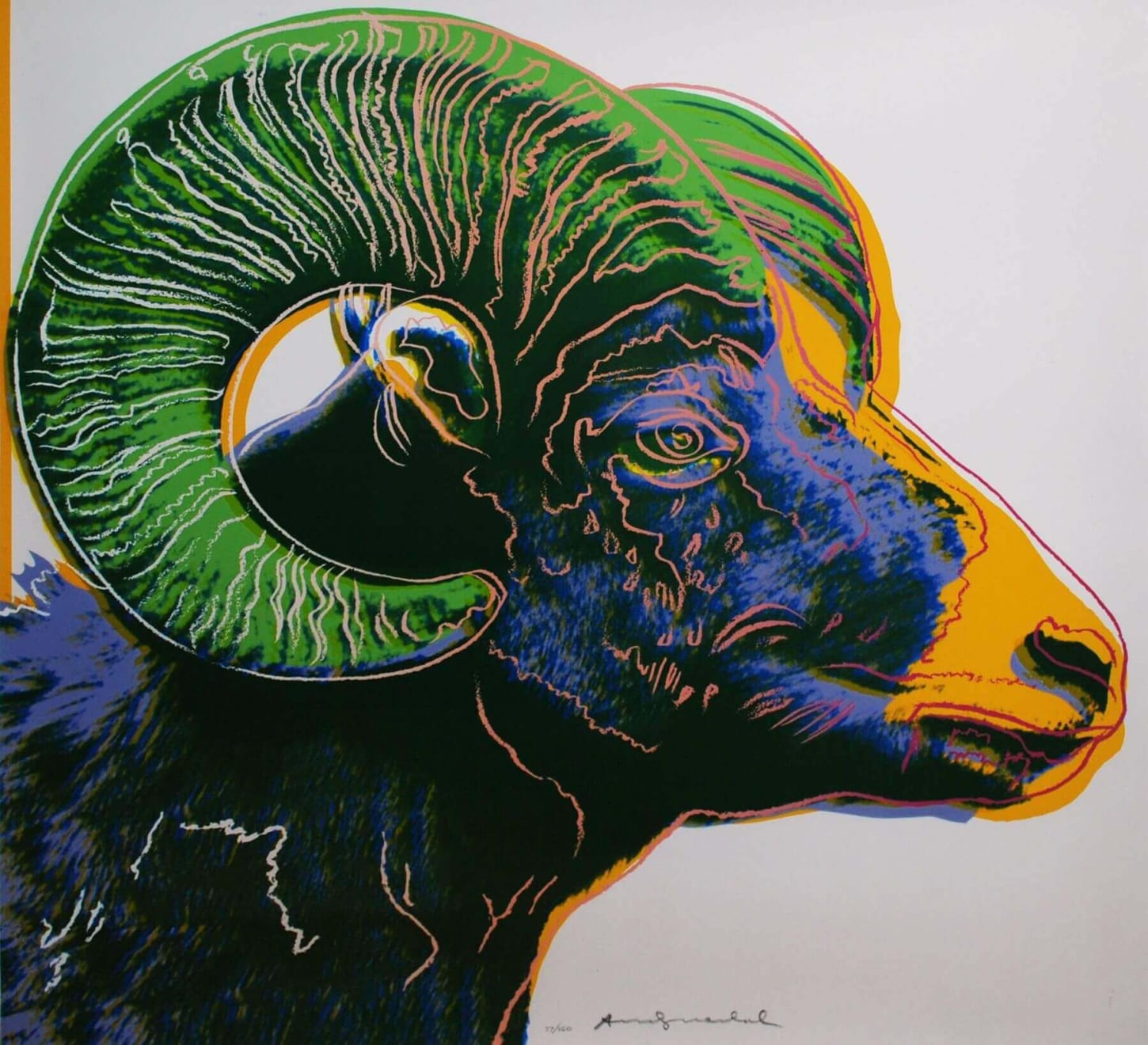Andy Warhol Bighorn Ram-Endangered Species F&S ll.302, 1983 Screenprint on Lenox Museum Board 38h x 38w inches Edition of 150 For sale at VFA
