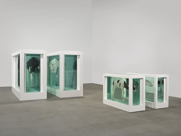 Damien Hirst Mother and Child Divided, 1993