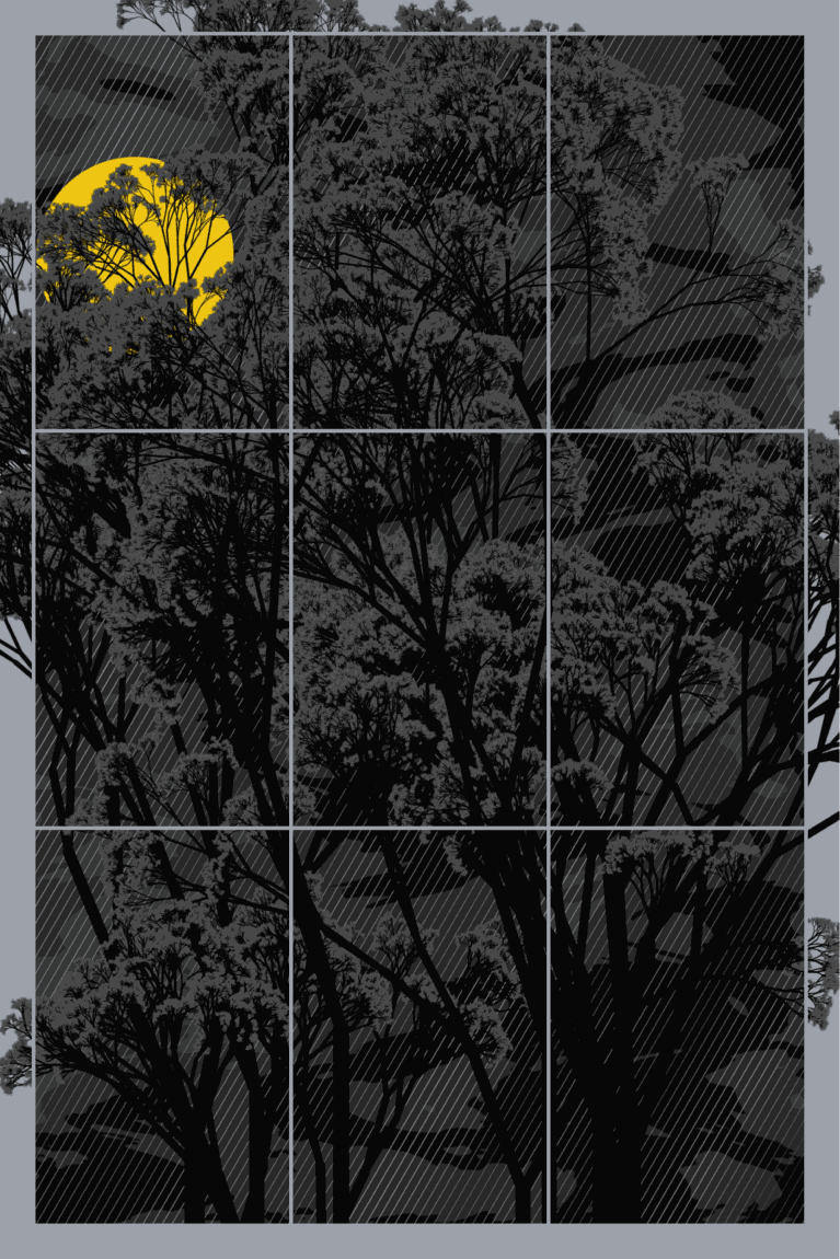 Rob Scalera Fenestra, 2023 Unique Series of 150 Algorithmic Design 1800 × 2700 px