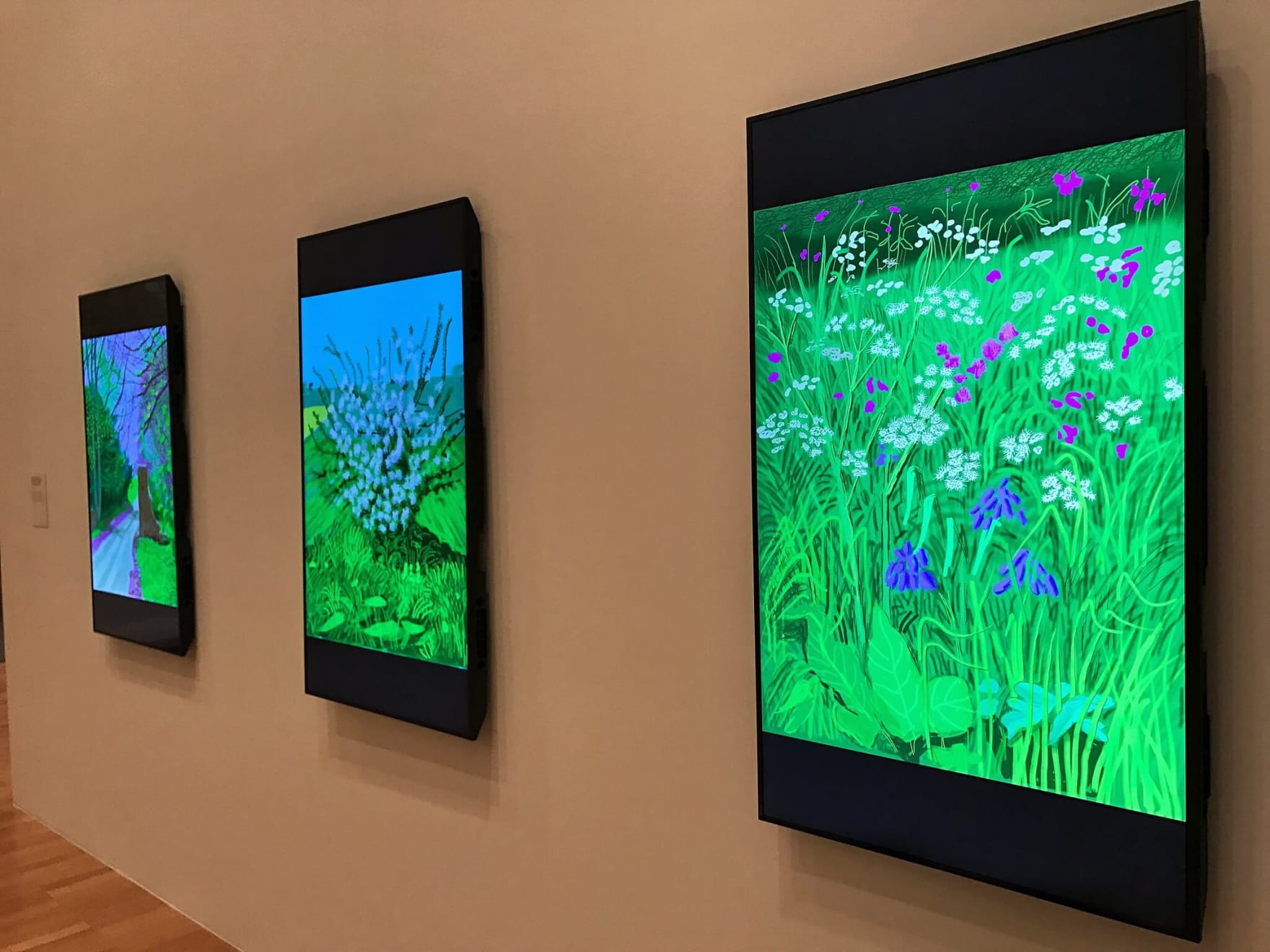 David Hockney Current exhibition National Gallery Of Victoria, Southbank, Australia Photo: Allan Henderson, December 1, 2016 (CC BY 2.0