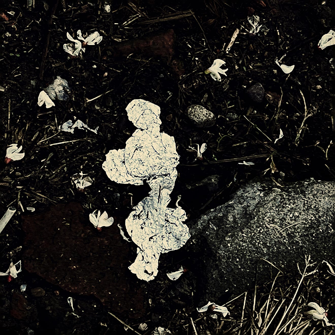 Pietro Bologna, Ettaro (Hectare), 2024