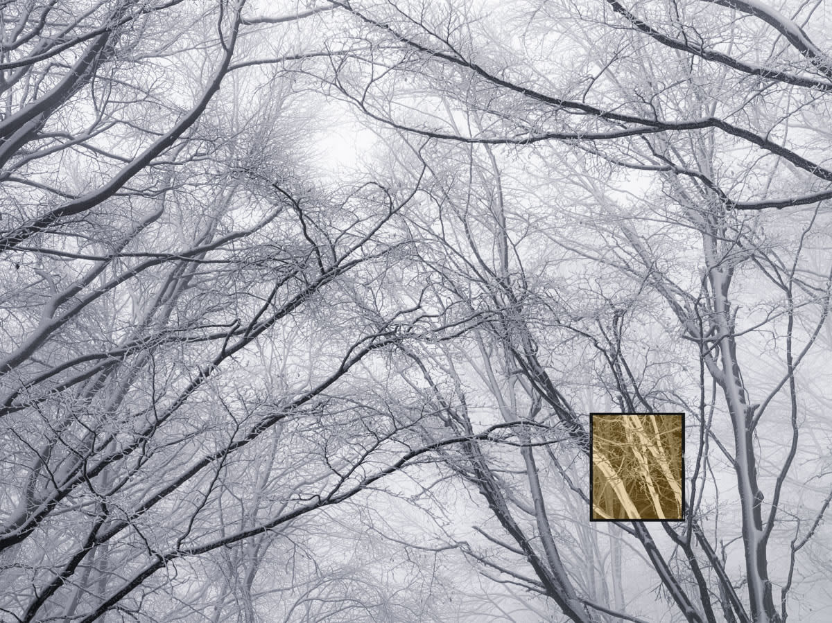 Jacques Pion, Intimus, 2022-2024