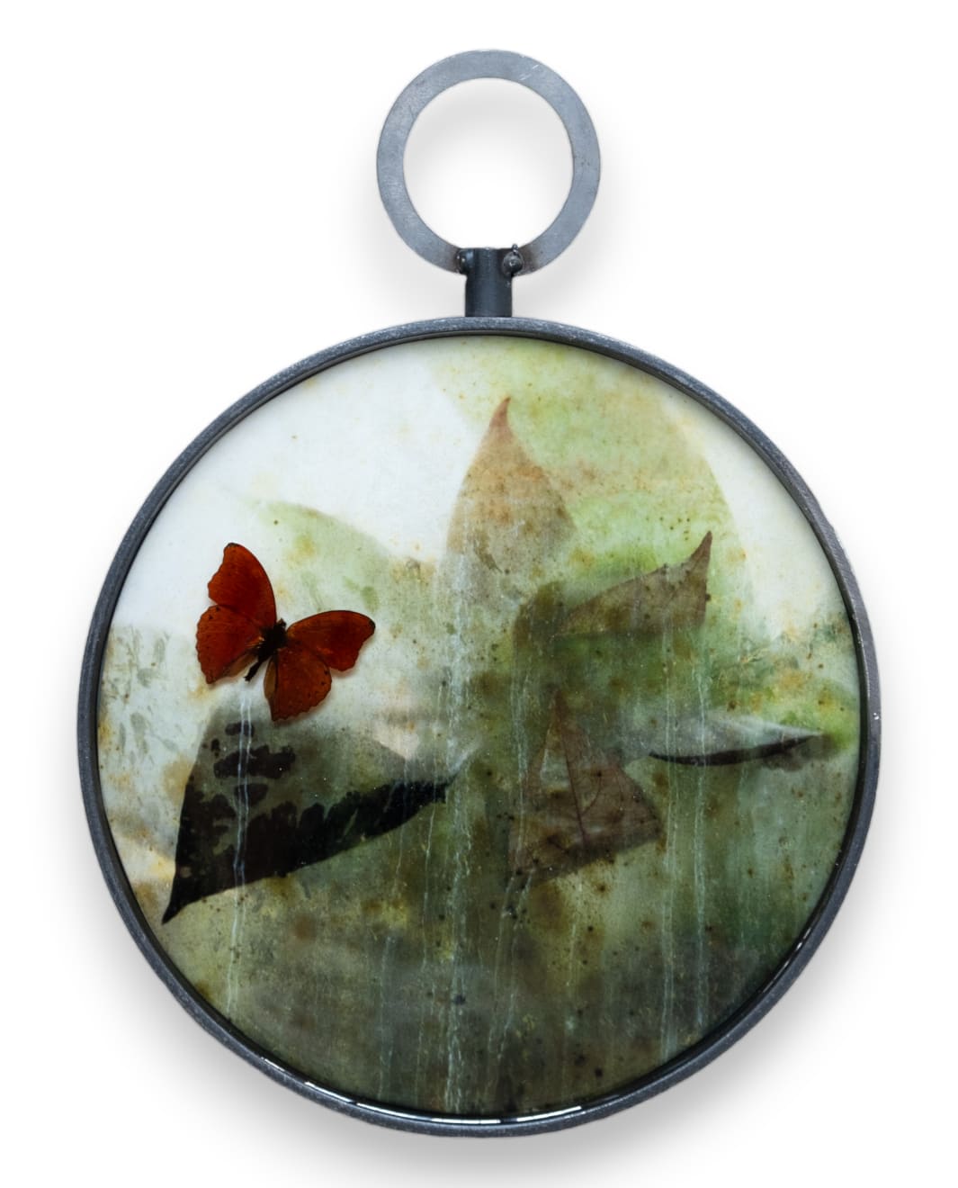 Caroline Gavazzi, Lycaena Thetis II, 2023