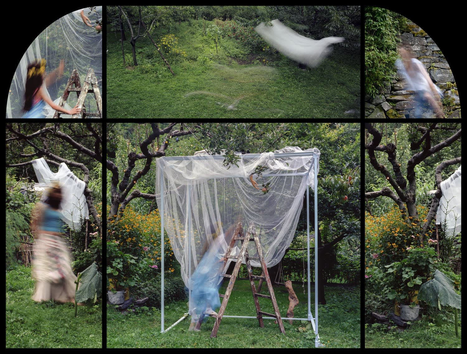 Pio Tarantini, Sogno di una notte di mezza estate (Midsummer Night's Dream), 2004-2009