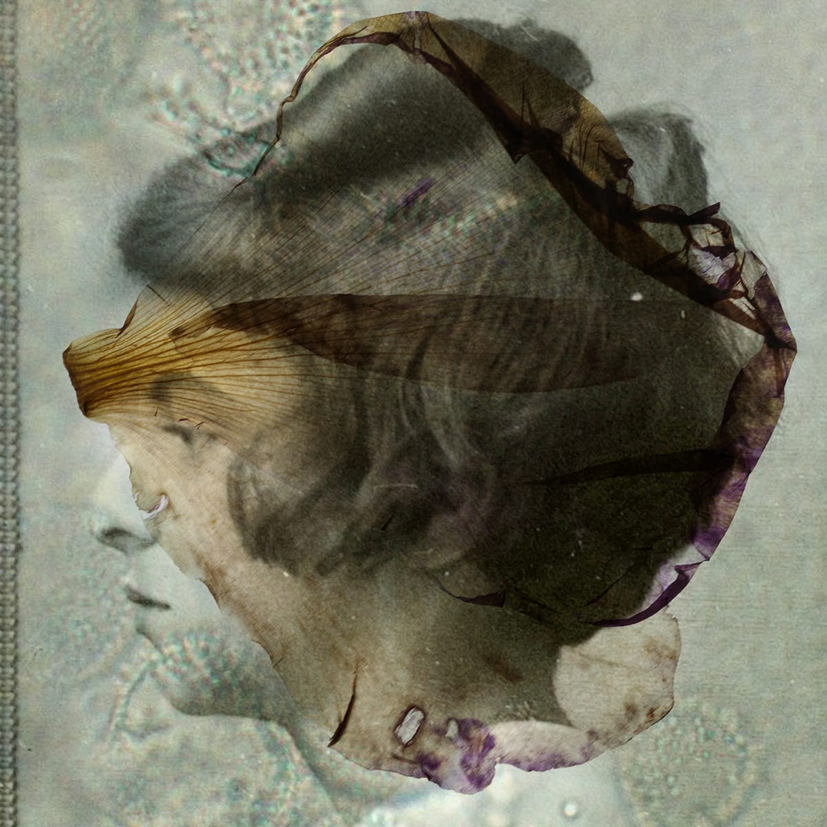 Alessandra Calò, Les Inconnues, 2018