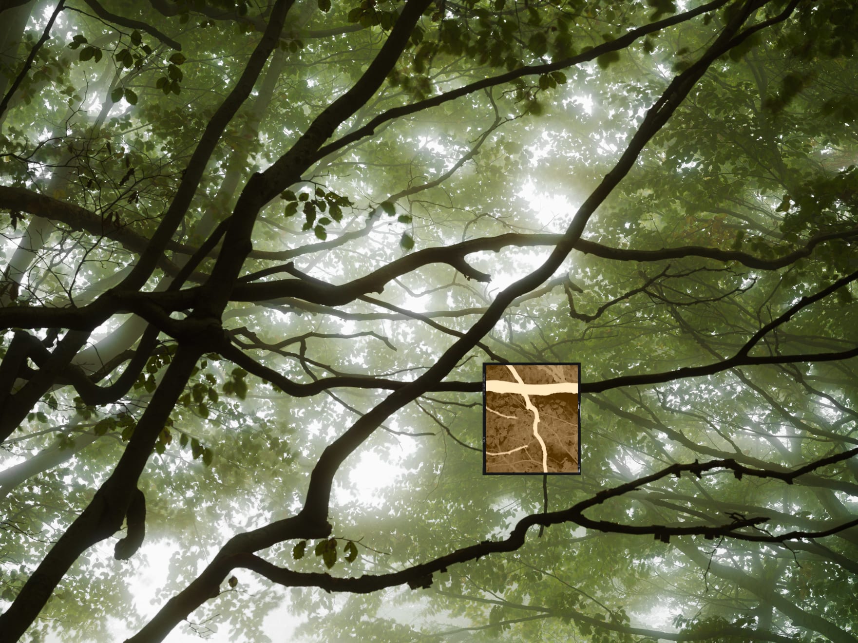 Jacques Pion, Intimus, 2022-2024