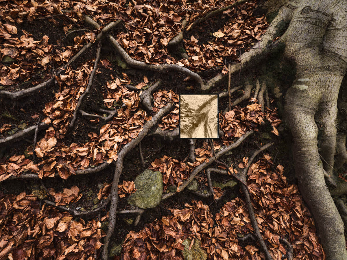 Jacques Pion, Intimus, 2022-2024