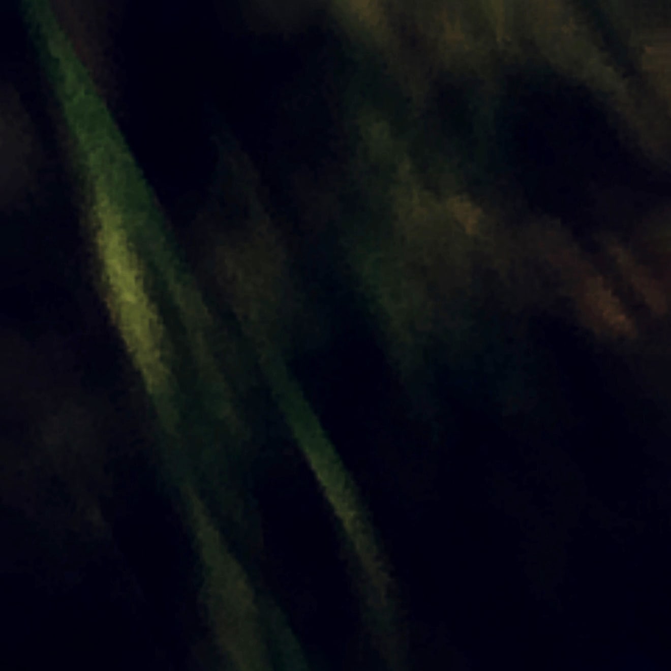 Pietro Bologna, Ettaro (Hectare), 2018