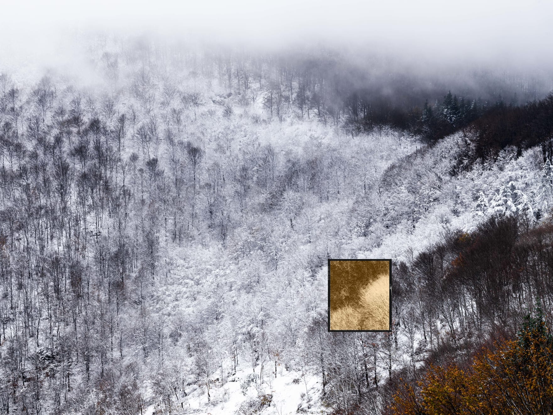 Jacques Pion, Intimus, 2022-2024