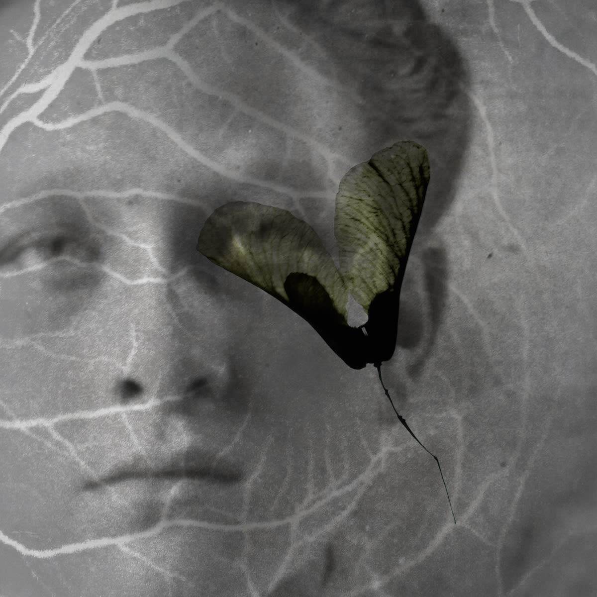 Alessandra Calò, Les Inconnues (SOLD), 2018