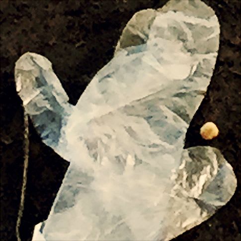 Pietro Bologna, Da Ettaro (From Hectare), 2020-2021