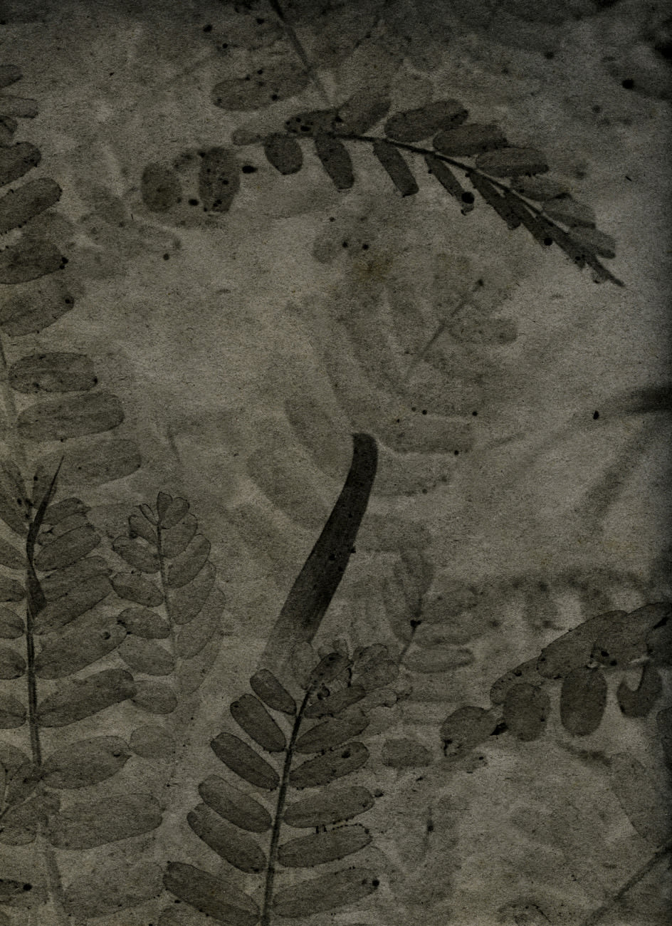 Alessandra Calò, χθόνιος (chthonic), 2024