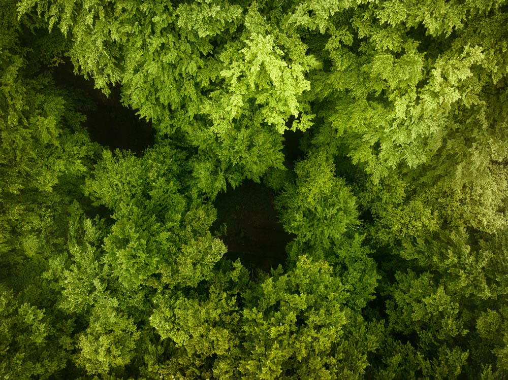 Jacques Pion, Intimus, 2022-2024