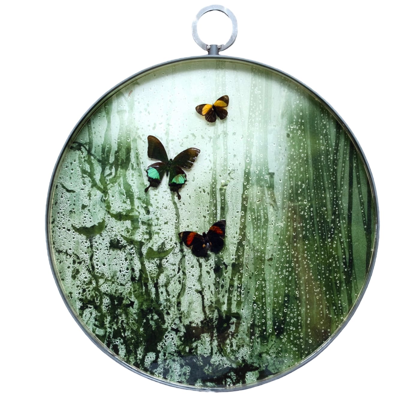 Caroline Gavazzi, Arias Trypon and Papilio Karma II, 2023