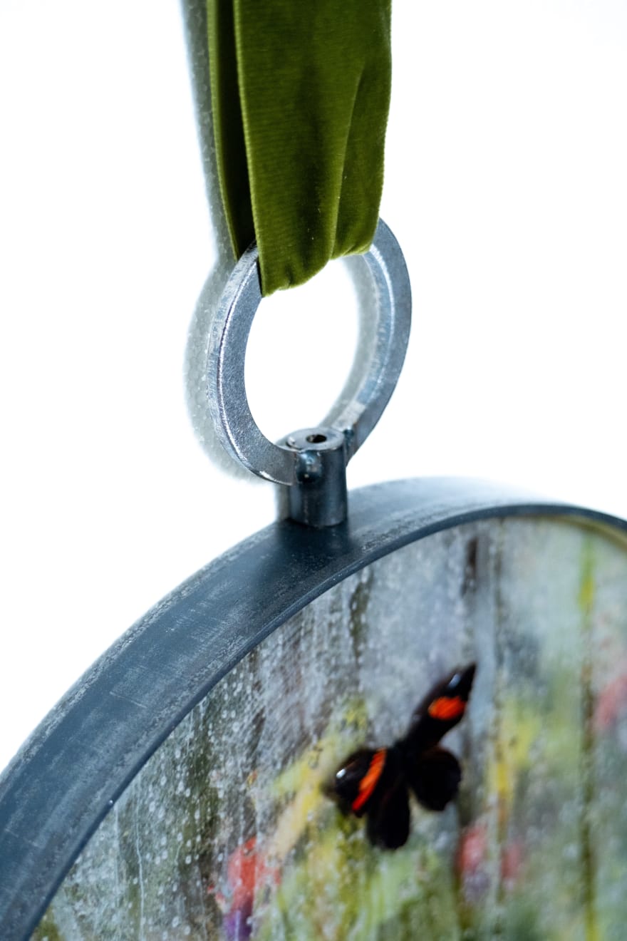 Caroline Gavazzi, Erebia Ligea, 2023