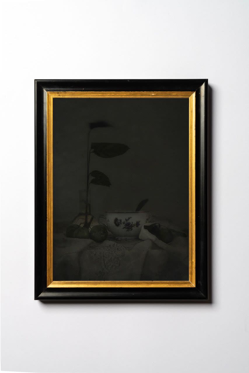 Alessandra Calò, The Garden's Tale | Photobook, 2022