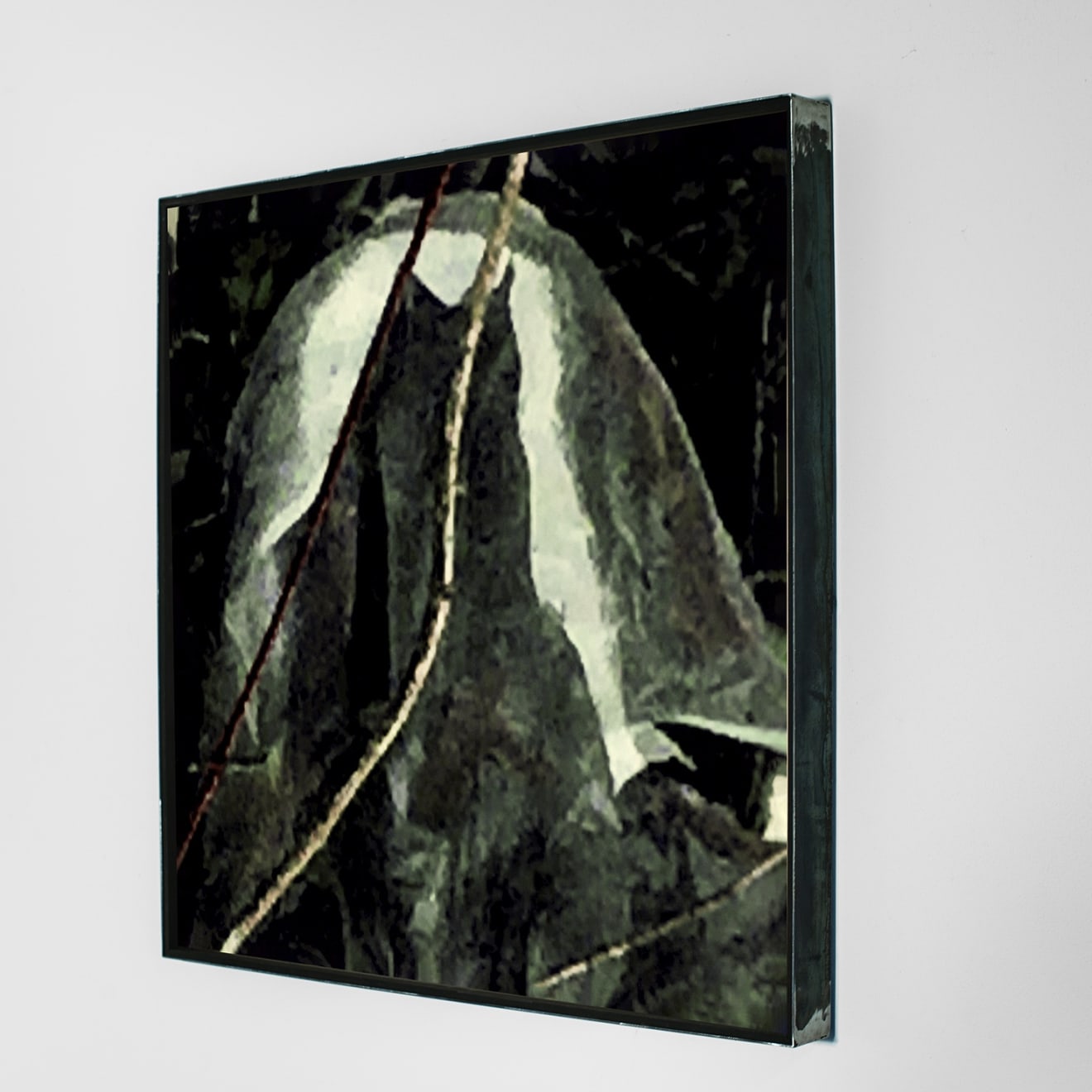 Pietro Bologna, Da Ettaro (From Hectare), 2020-2021