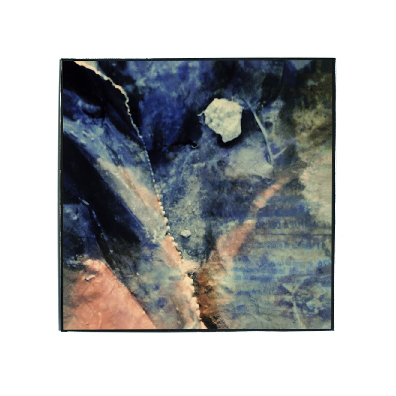 Pietro Bologna, Da Ettaro (From Hectare), 2020-2021