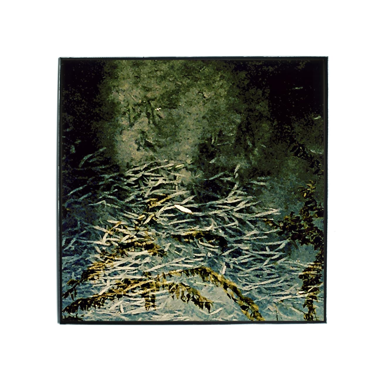 Pietro Bologna, Da Ettaro (From Hectare), 2020-2021