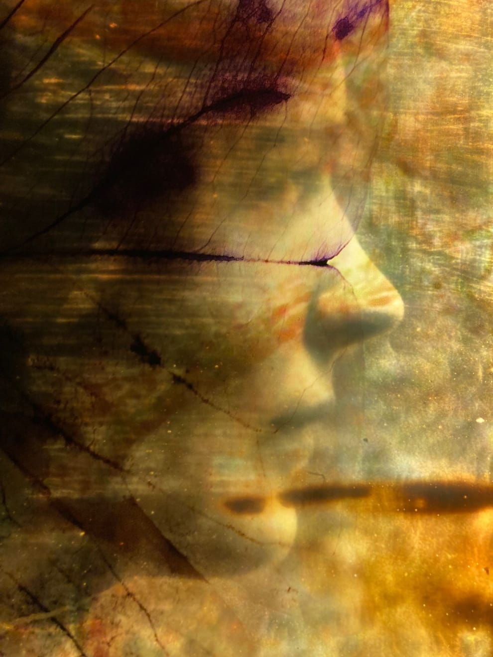 Alessandra Calò, Les Inconnues, 2018