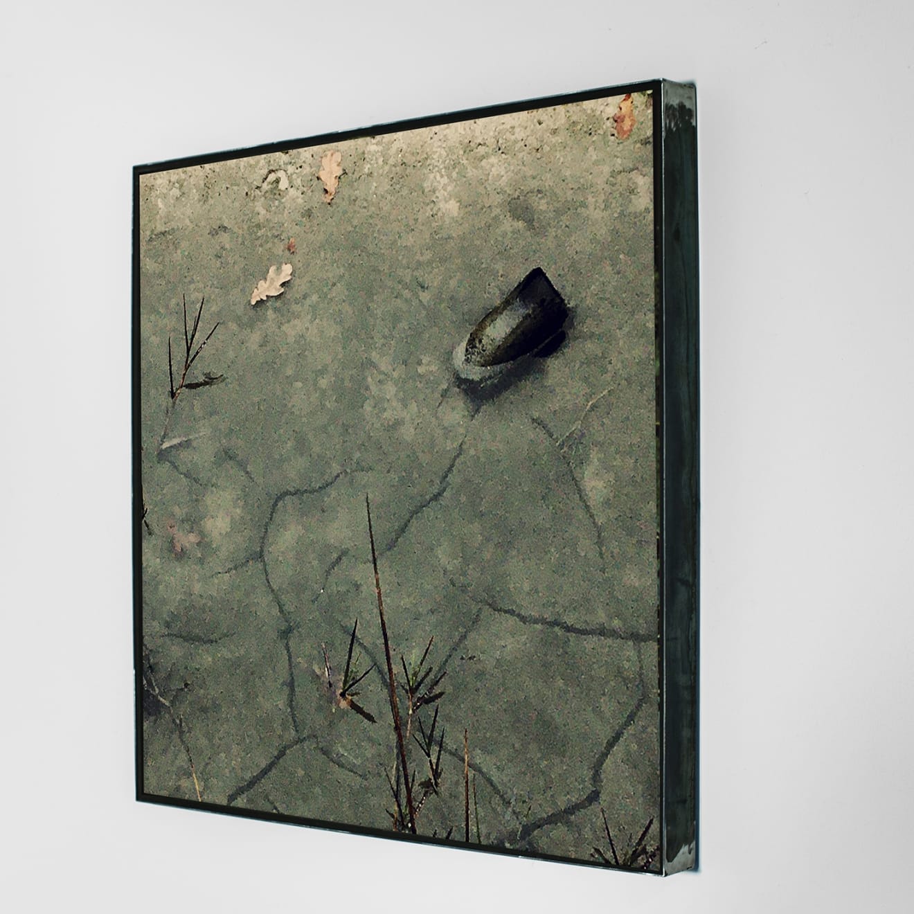 Pietro Bologna, Ettaro (Hectare), 2018